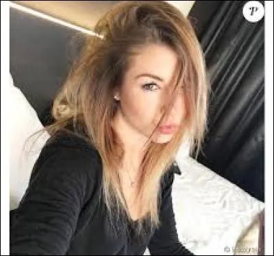 De quel(s) objet(s) fait-elle la collection?