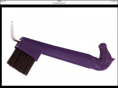 Comment s'appelle cette brosse ?
