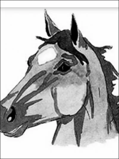 Comment s'appelle cette liste ?