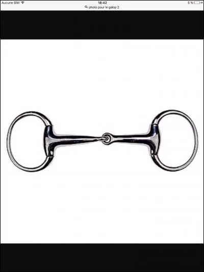 Comment s'appelle cette partie du filet ?