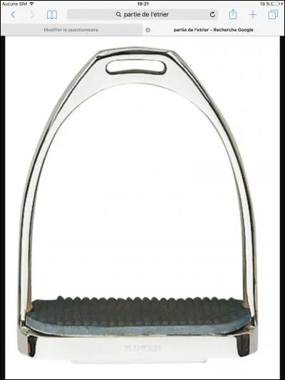 Comment s'appelle cette partie de la selle ?