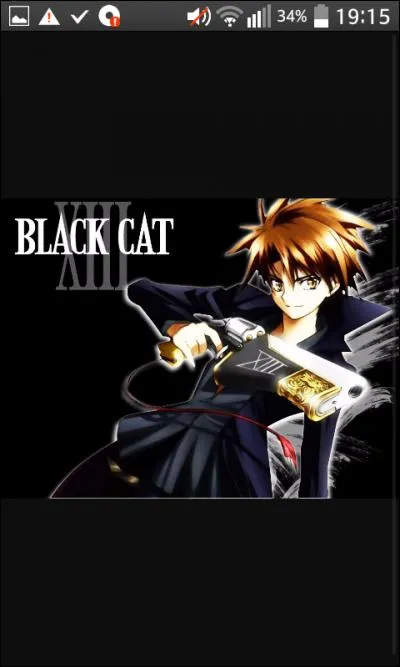 Dans Black cat, quel est le nom du personnage principal ?