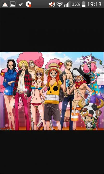 Combien de membres compte l'équipage de Chapeau de paille ?