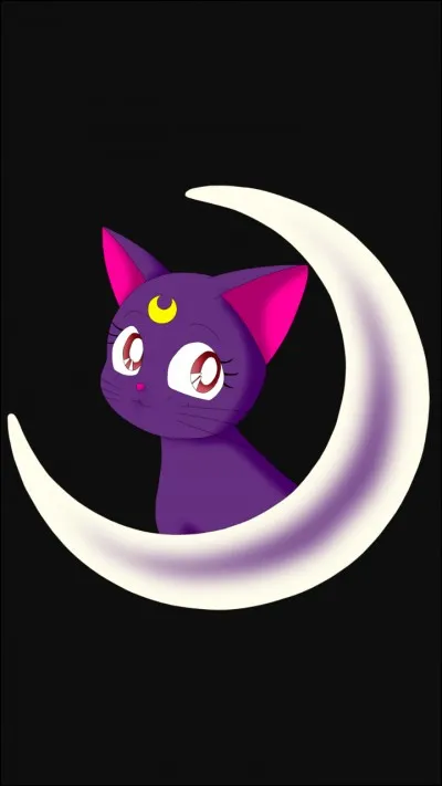 Sailor moon- Comment s'appelle le chat ?