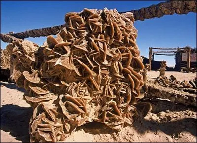 Que représente l'image ?