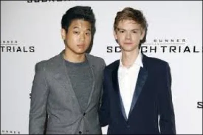 Quels sont ces métiers ?