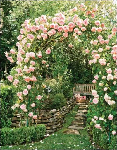 La rose est la fleur des fleurs, pour la grâce de ses pétales nombreux et comme harmonieusement arrangés pour former la plus belle des fleurs, et pour son divin parfum. Mais en Chine, c'est une autre fleur qui lui dispute le titre de Reine de fleurs, laquelle ?