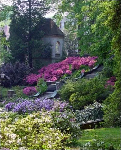 Le plaisir des fleurs au jardin est sans fin, tant les variétés sont multiples, les mariages de formes et de couleurs infinis, selon le goût et le talent du jardinier. Par opposition au jardin à la française, créé par des architectes, qui a créé les jardins à l'anglaise ?