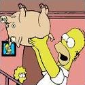 Quiz Cochons