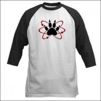 À qui appartient ce tee-shirt ?