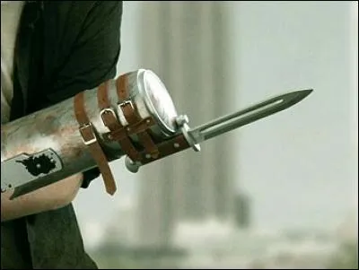 À qui appartient cette prothèse ?