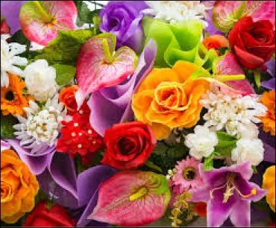 Choisis la bonne orthographe :