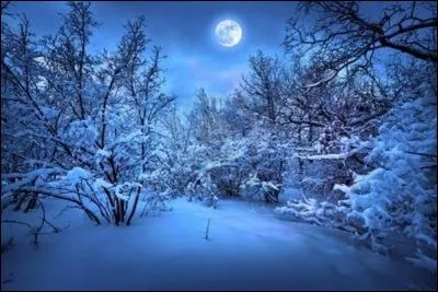 Quel groupe a chanté "Neige tombe comme avant Eclaire-moi dans la nuit noire, éclaire-moi maintenant" ?