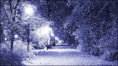 Quel chanteur évoque dans le titre "La neige" la neige "qui tombe silencieusement de toute sa blancheur d'un noir éblouissant" ?