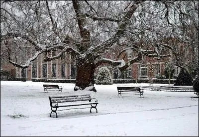 Sur quelle ville belge neige-t-il dans une chanson de Jacques Brel ?