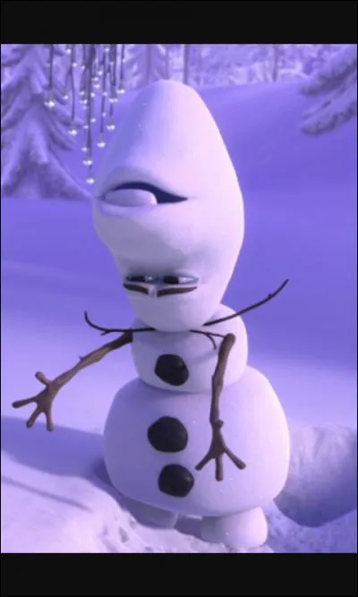 Avec quoi est-il fait ?