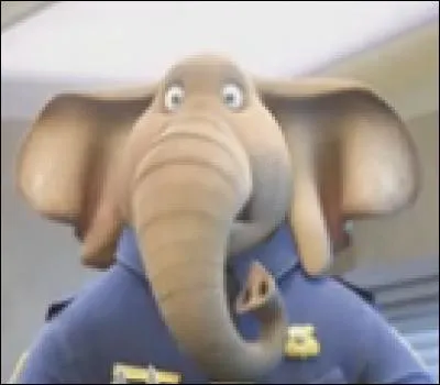 Comment s'appelle l'éléphant dont c'est l'anniversaire durant la première réunion de Judy ?