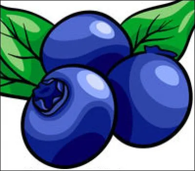 Quelle est la couleur du mouchoir avec lequel Nicolas bande la patte blessée de Judy dans le musée (le mouchoir dans lequel le renard a mis les myrtilles) ?