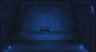 Quel était le numéro de plaque de la voiture dans laquelle il y avait des marques de griffes ?