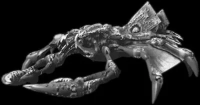 Qu'est-ce qui est prsent sur cet image ?