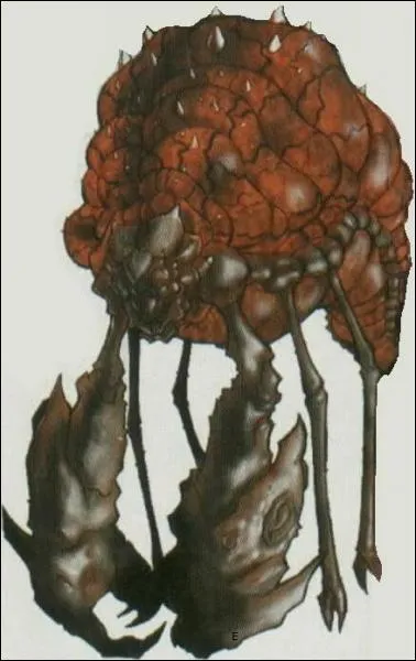 Qu'est-ce qui est prsent sur cet image ?