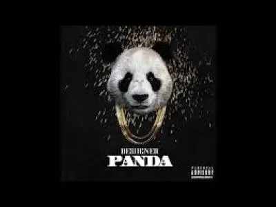 Qui chante "Panda" ?