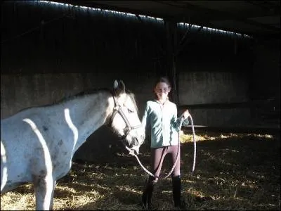 O doit-on se tenir quand on mne en main un cheval ?