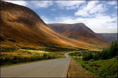 Une province canadienne possède le même nom que deux races d'un même animal. De quel animal s'agit-il ?
