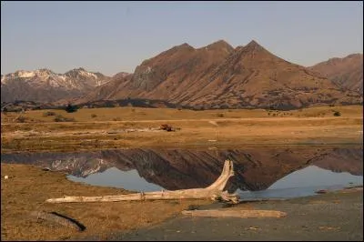 Le kodiak est l'espèce d'ours la plus grosse au monde. À quel pays l'île Kodiak, tenant son nom de la présence de ce mammifère, appartient-elle ?