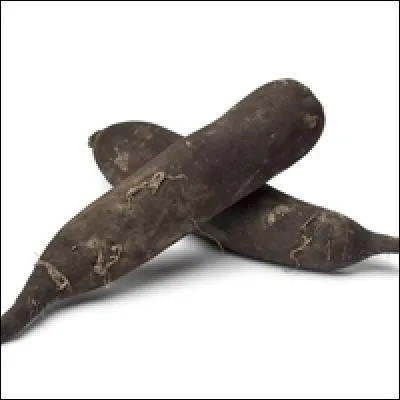 Plante qui possède des vertus bénéfiques sur la santé humaine, en particulier dans le traitement des troubles digestifs, cette plante est :