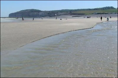 Dans quel département se trouve Sainte-Marguerite-sur-mer ?