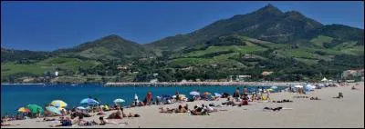 Dans quel département se trouve Argelès-sur-mer?
