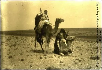 Le dromadaire est indispensable aux déplacements des hommes, il est vecteur du transport caravanier. À quelle communauté nomade est-il associé ?