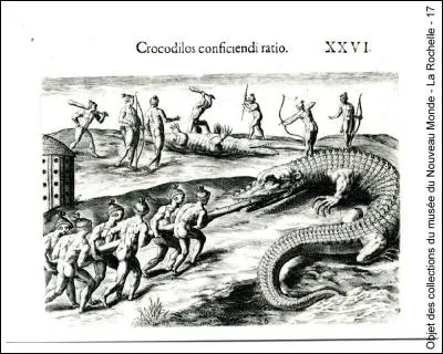 Dans la mythologie égyptienne, quel dieu le crocodile représente-t-il ?