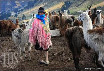 Où trouve-t-on ces habits ?