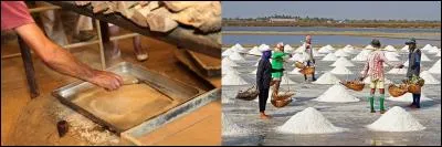 Si tu veux faire le « saunage », il faudra que tu n'oublies pas le problème du « saunelage ». Tu risques gros si tu ne respectes pas ce droit de « saunelage ».
Que signifie ce mot ?