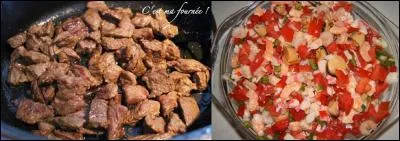 Non, nous n'irons pas dans ce restaurant, il ne vend que des "salmigondis" ! C'est de la "malbouffe". Je préfère que l'on aille dans l'autre restaurant, il propose un "salpicon" de très bonne qualité.
Que signfient les mots "salmigondis" et "salpicon".