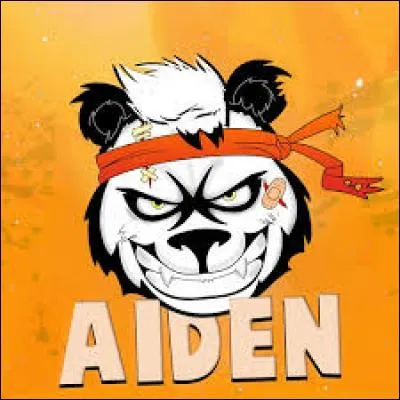 Avec qui Aiden fait-il des cours de sorcellerie ?