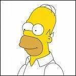 Qu'aime faire Homer par dessus tout ?