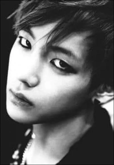 Dans le groupe, qui sont les deux principaux rappeurs ?