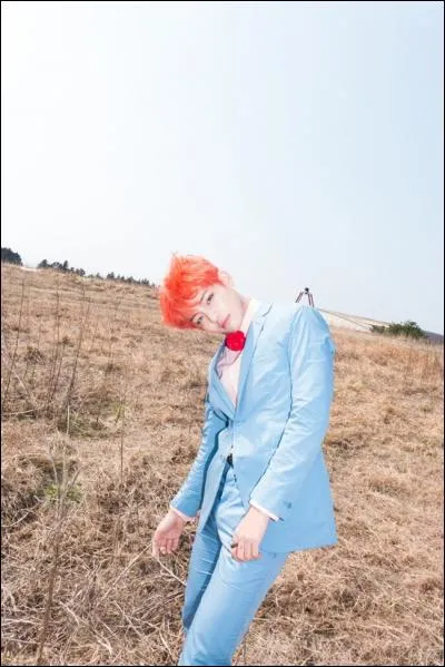 Comment appelle-t-on leurs fans ?