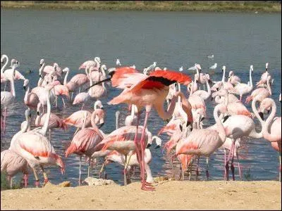 Quel est le nom de ce lac ?