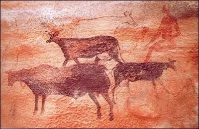 Ces peintures rupestres font partie des plus beaux trésors de l'Algérie ; elles se trouvent au :