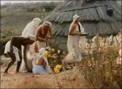 Quelle est la particularité du "lotos" que consomment les Lotophages, et en proposent aux compagnons d'Ulysse ?