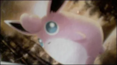 Qui est ce Pokémon?