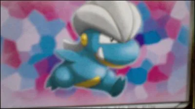 Quel est ce Pokémon?