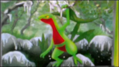 Quel est ce Pokémon?