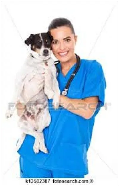 C'est une tenue de travail mais pour quelle profession ?