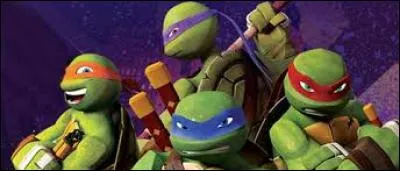 Pourquoi les tortues sont-elles des ninjas ?