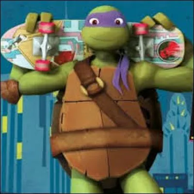 Cette tortue est maître de l'informatique. Qui est-ce ?